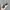 Rayban Wayfarer Black Doff Classic Green Lens photo 2