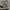 STUSSY MIXED LOGO SKULLCAP BEANIE HAT  photo 2