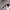 Thrasher Wayfarer Black Glossy Black Lens photo 5