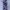 CARGO CAMO SECOND MURAH photo 4