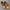 Timberland low boots not clarks dr martens catterpilar  photo 5
