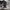 The North Face Sportswear Sneakers Pria white black photo 2