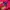 Hodie Gap Pink big logo photo 3