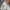 LEVIS 512 SLIM TAPERED FIT CLASSIC BLUE WASH STRETCH DENIM J photo 3