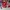 Kelty Pathfinder 3.0 Kid Carrier photo 9