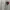 Sportswear Casual Jersey Pria white red photo 3
