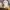 MOFUSAND KIRAMEKKO ori fluffy kittens plush doll photo 3