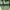 COLORBOX Minimalist Midi dress Wanita green photo 3