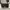 LV Rose Ballerine Monogram Canvas Flore Chain Wallet Bag