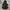 Puma Gorpcore Sportswear Hoody Pria black photo 2
