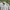 Minimalist Casual Track Jacket Pria White