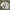 Minimalist Casual Track jacket Pria white photo 3