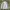 Minimalist Casual Track jacket Pria white photo 4