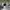 Minimalist Casual Track jacket Pria white photo 6