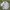 Minimalist Casual Track Jacket Pria White