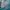 Crewneck NFL Miami Dolphins  photo 2