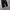 Muji japan one tuck wide pants photo 5