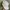 Y2K Studed Cadhet Hats Feathers Japanesse Brand photo 3