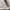 Polham Streetwear Puffer jacket Pria gray photo 3