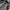 The North Face Y2K Casual Windbreaker Pria black photo 2