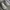 Sepatu nike react infinity photo 3