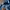 The North Face Gorpcore Casual Windbreaker Pria navy photo 4