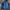 The North Face Gorpcore Casual Windbreaker Pria navy photo 1