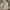 Casual Hoody Pria gray photo 1