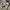 Casual Hoody Pria gray photo 4