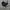 Vintage Minimalist Culotte Wanita white black photo 3