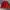 Nike Vintage Casual Windbreaker Pria red photo 1