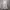 Indie Minimalist Wanita gray photo 1