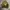 Knitwear landscape 3D photo 2