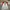 Diadora Vintage Casual Jersey Pria white red photo 1