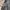 Avirex Vintage Leather jacket Pria black photo 4