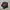 Aime Leon Dore x Porsche photo 4