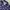 Grunge Goth Pyjama Wanita navy pink photo 2