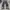 Streetwear Y2K Jeans Pria Black Gray