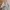 Streetwear Sportswear Tracksuit Pria khaki photo 5