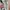 Streetwear Sportswear Tracksuit Pria khaki photo 6