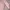 pink knit top with plated hem photo 4