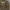 Ralph Lauren Polo Jeans Co Beige Crewneck photo 3