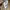 Reebok Casual Sneakers Pria white photo 4