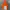The North Face Gorpcore Windbreaker Pria orange photo 5