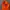 The North Face Gorpcore Windbreaker Pria orange photo 7