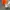 The North Face Gorpcore Windbreaker Pria orange photo 2