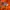 The North Face Gorpcore Windbreaker Pria orange photo 4
