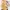 Longchamp Casual Tote bag Wanita tan photo 3