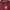 Arsenal FC Long Sleeve Jersey Maroon Gold – Vintage Football photo 3