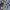 Vans Sk8 Black Navy photo 3